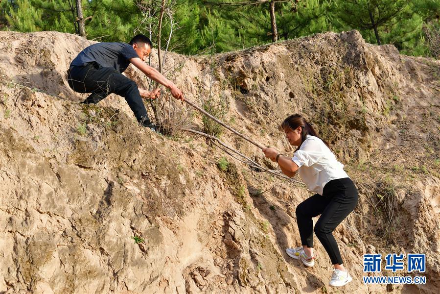 （新华全媒头条·图文互动）（5）黄土地上向阳花开——来自山西深度贫困地区的脱贫故事