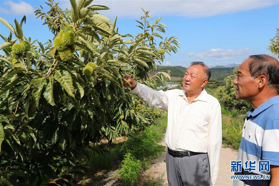 （新华全媒头条·走向我们的小康生活·图文互动）（11）长城脚下，小康村串成“珍珠链”