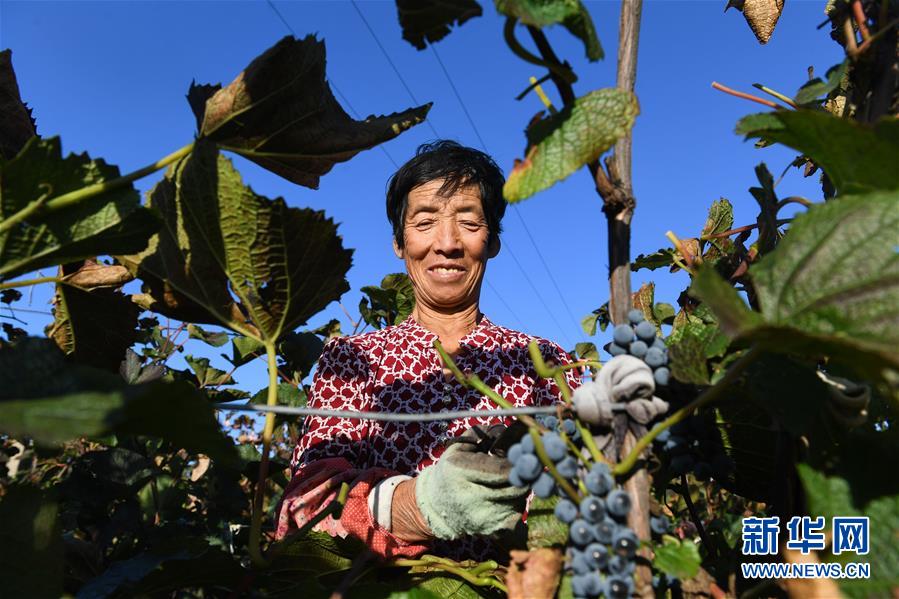 （集中连片特困地区贫困村调研行·图文互动）（4）又整新鞍马蹄轻——内蒙古喀喇沁旗马鞍山村脱贫调查