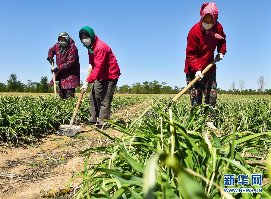 （新华全媒头条·图文互动）（17）从人民中汲取磅礴力量——习近平总书记同出席2020年全国两会人大代表、政协委员共商国是纪实