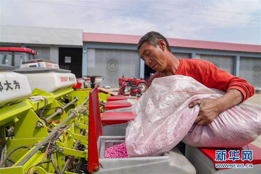 （在习近平新时代中国特色社会主义思想指引下——新时代新作为新篇章·习近平总书记关切事·图文互动）（8）让每一寸耕地都成为丰收的沃土——我国加强耕地?；ね平?ldquo;藏粮于地”