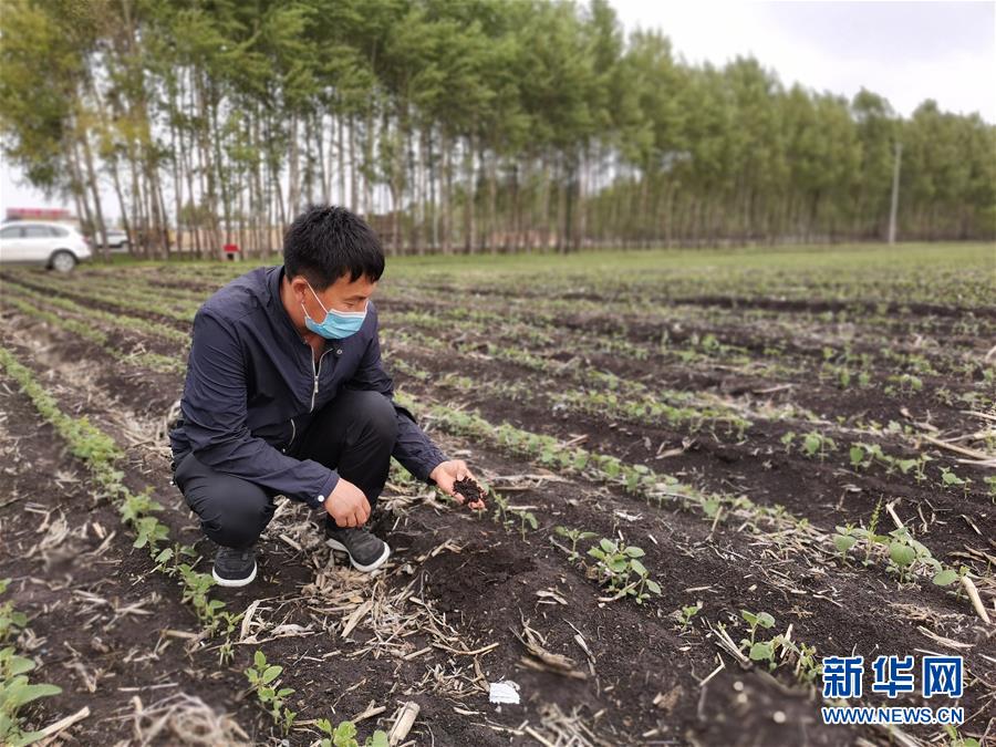 （在习近平新时代中国特色社会主义思想指引下——新时代新作为新篇章·习近平总书记关切事·图文互动）（6）让每一寸耕地都成为丰收的沃土——我国加强耕地?；ね平?ldquo;藏粮于地”