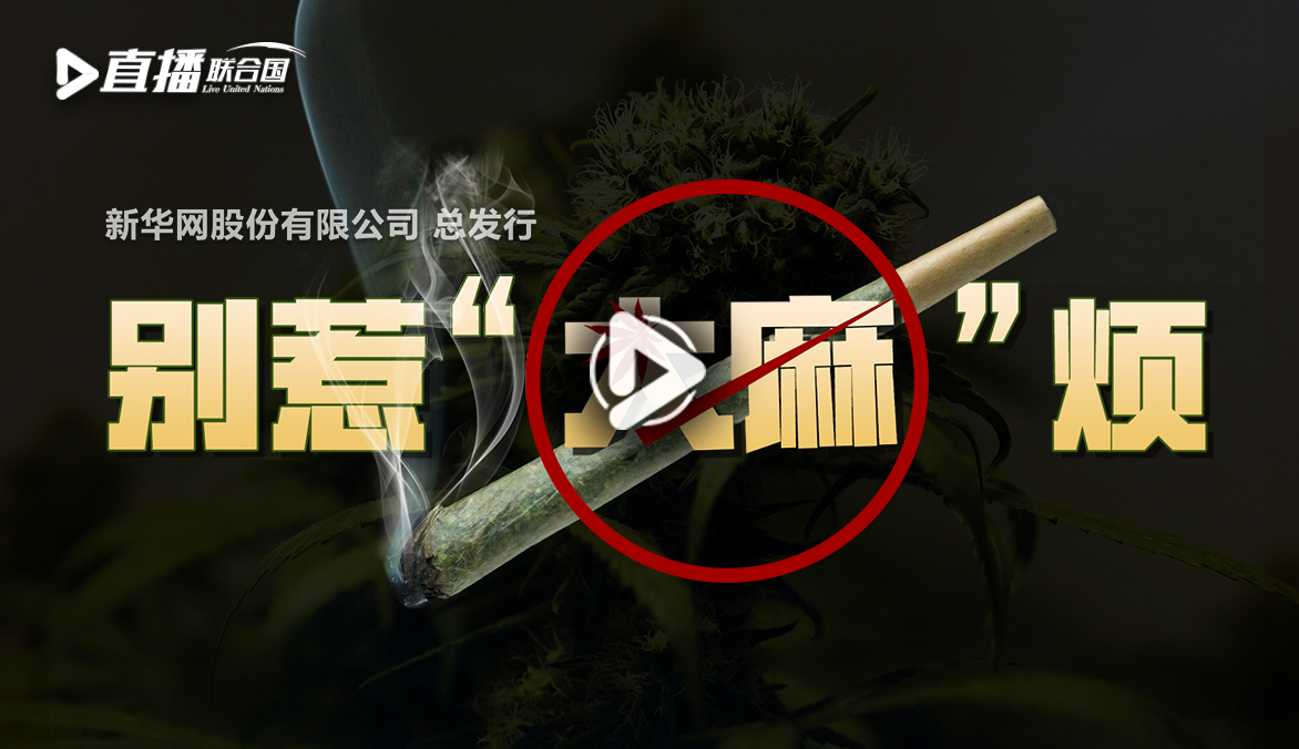 《直播联合国》第三十集：别惹“大麻”烦