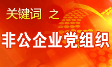 王京清：非公企业建立党组织服务企业发展、服务员工