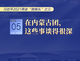 习近平2021两会“微镜头”之三 3月5日 在内蒙古团，这些事谈得很深