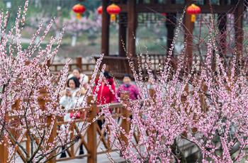 赏花过大年